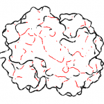 Suggestive contours hemoglobin